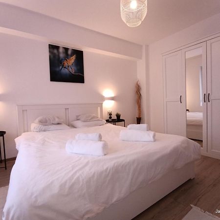 Cozy Apartment City Center 부쿠레슈티 외부 사진