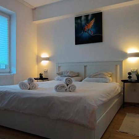 Cozy Apartment City Center 부쿠레슈티 외부 사진